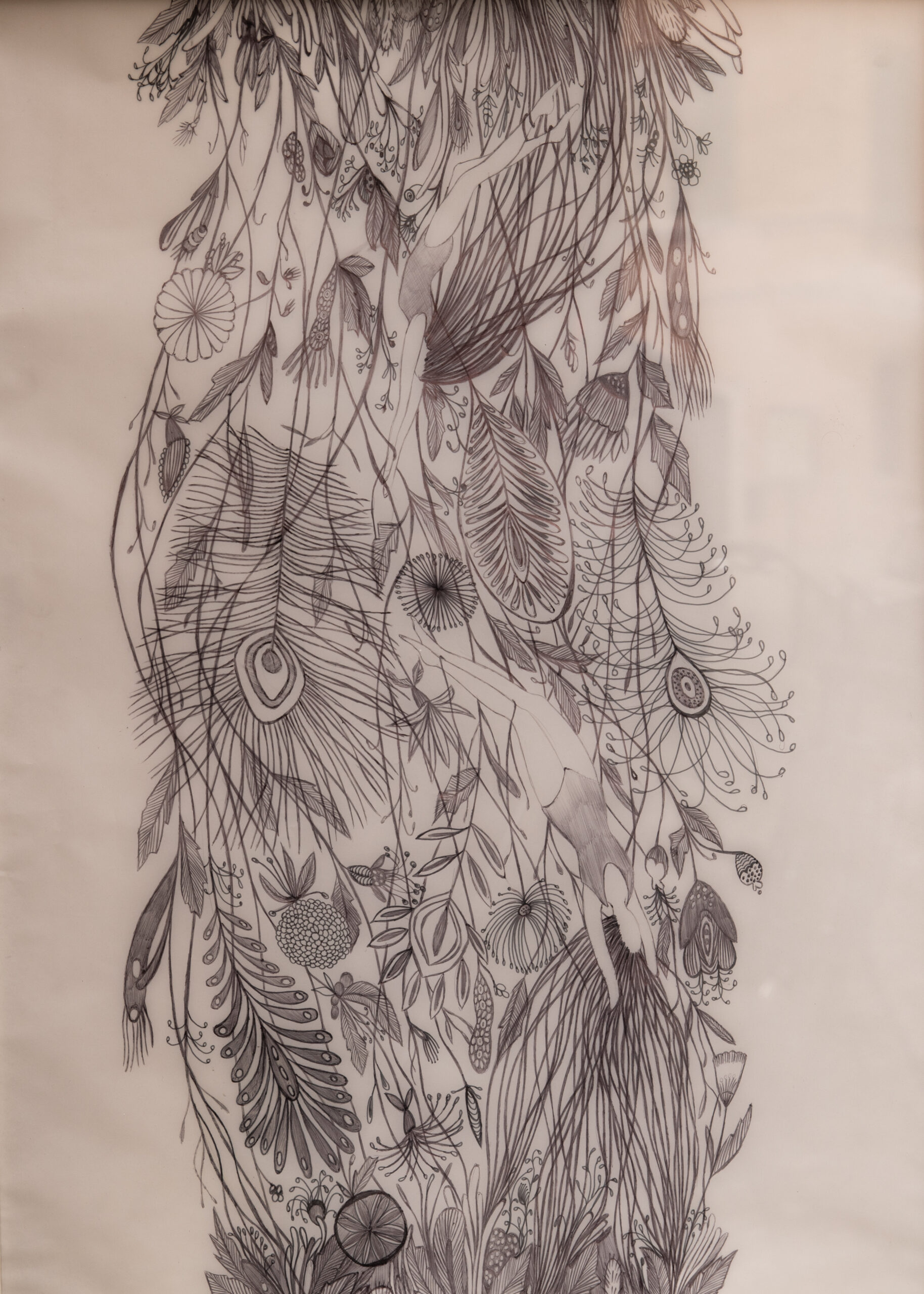 Cascata naturale, bic on tracing sheet, drawing., 60x80cm, 2017.|